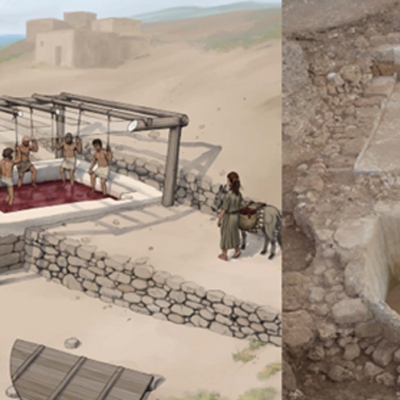 Produrre vino fenicio: le strutture di Tell el-Burak (Libano) sotto il microscopio. 